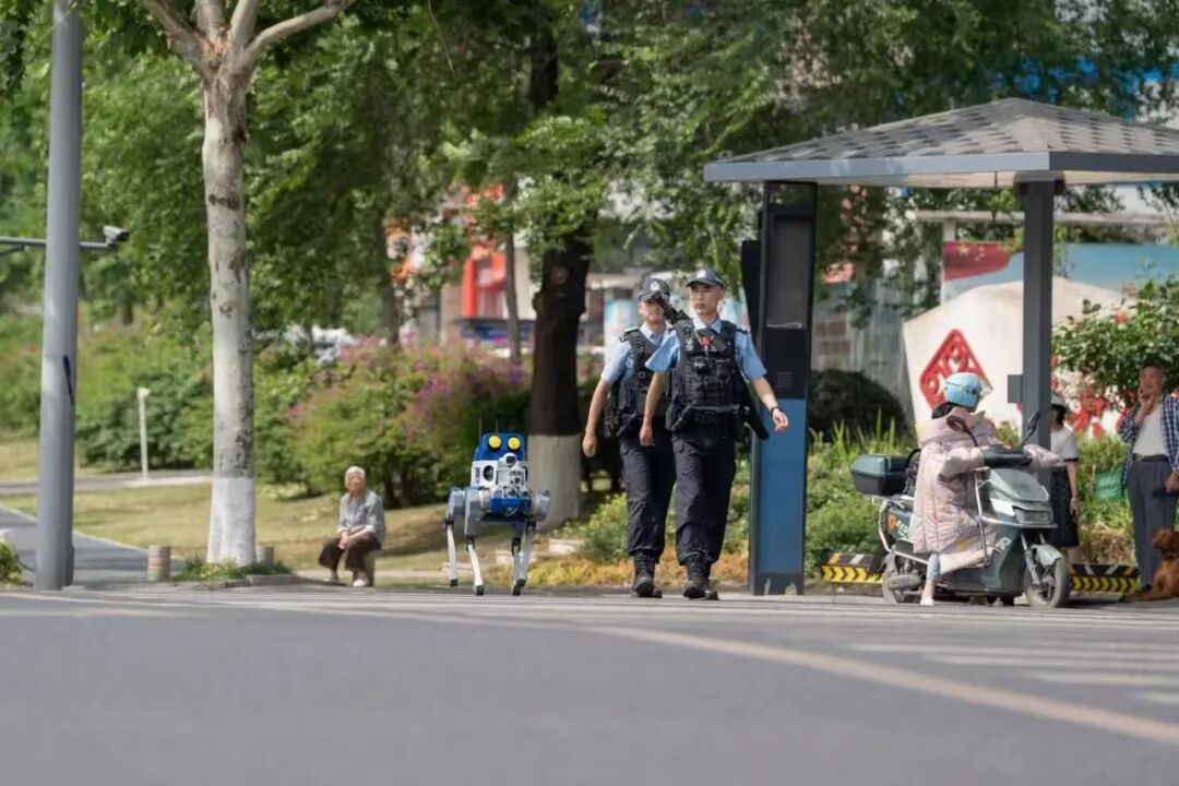 图片 图片